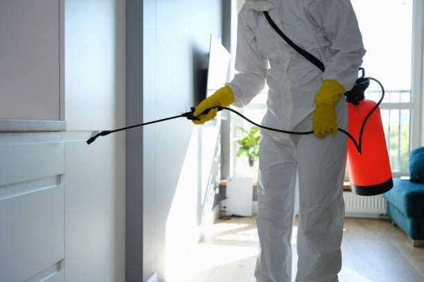 Best Best Mold Removal Companies  in Trenton, OH